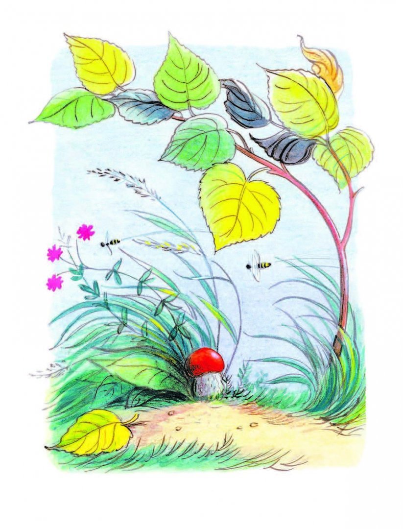 Сутеев в.г. "под грибом"