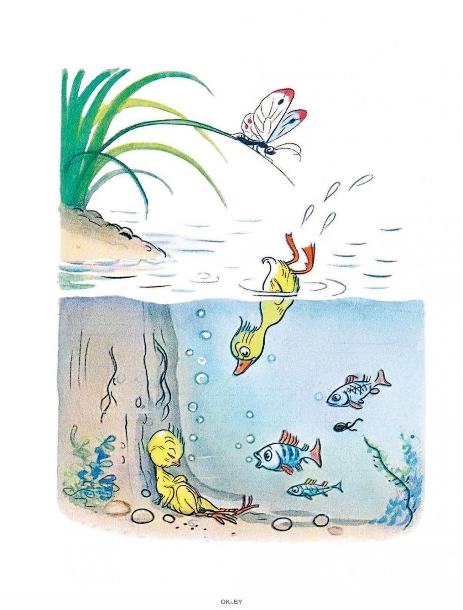 Сутеев художник иллюстратор