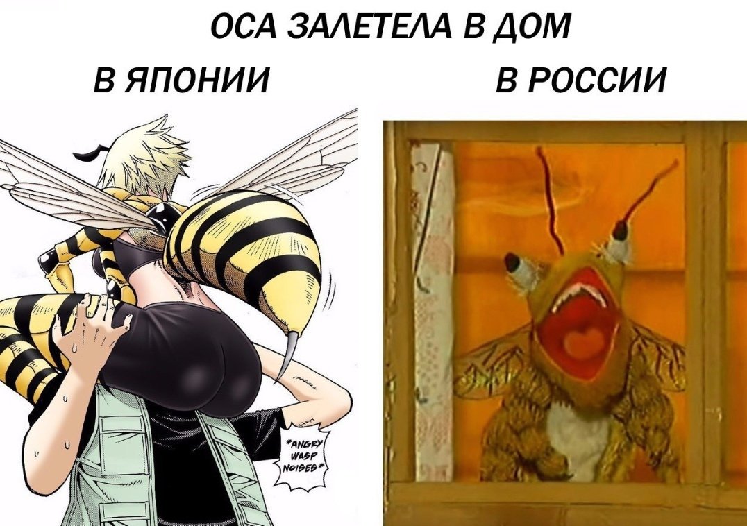 Пчела прикол