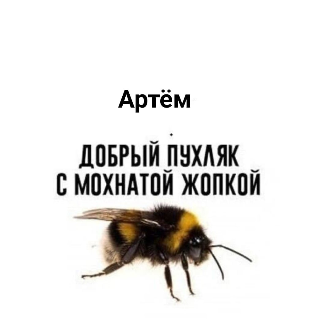 Мемы про ОС И пчел