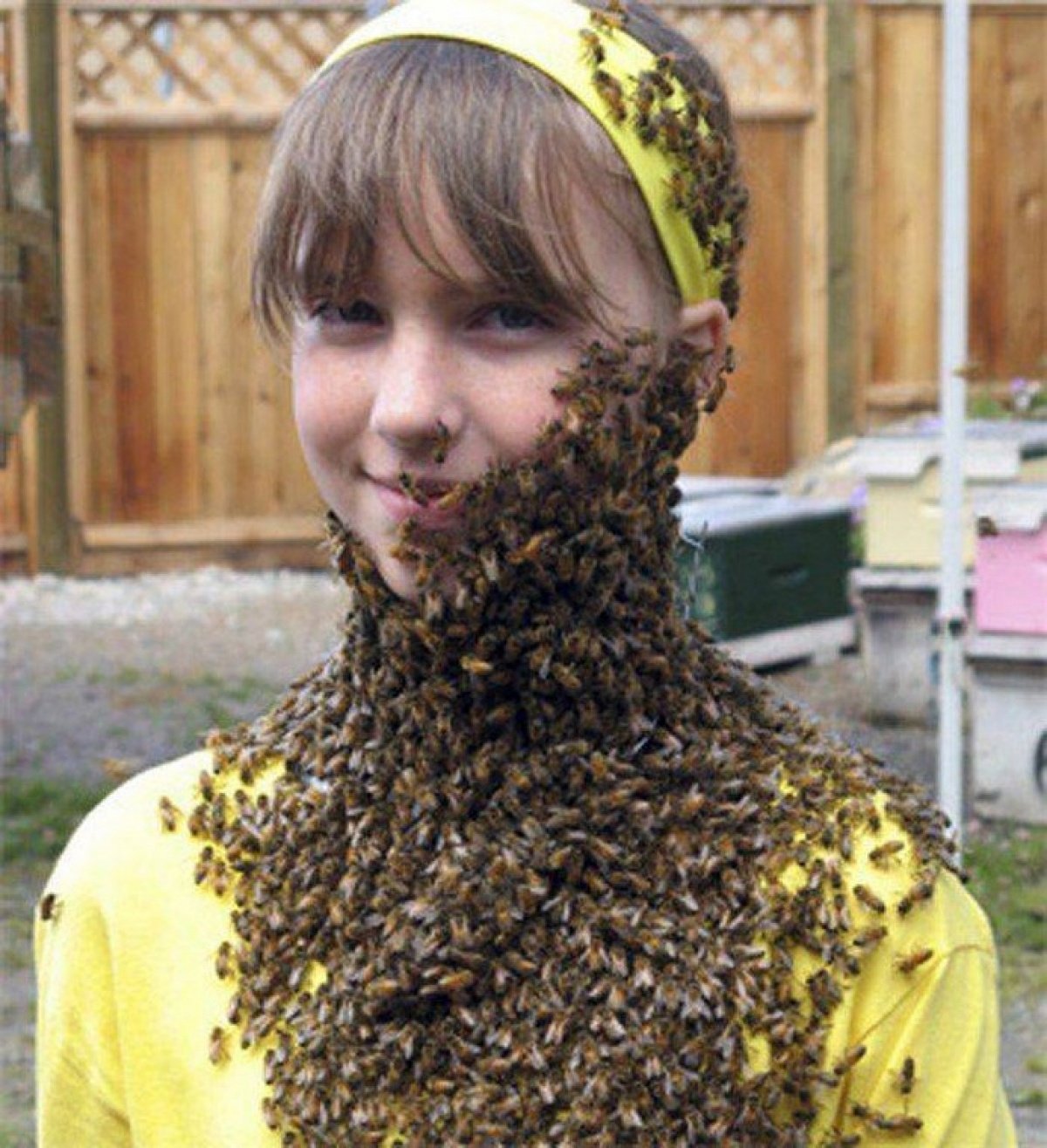 Неправильный мед Винни пух