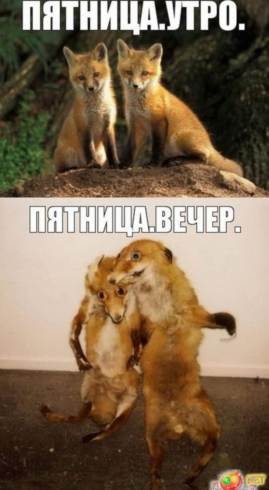 Много пить не будем