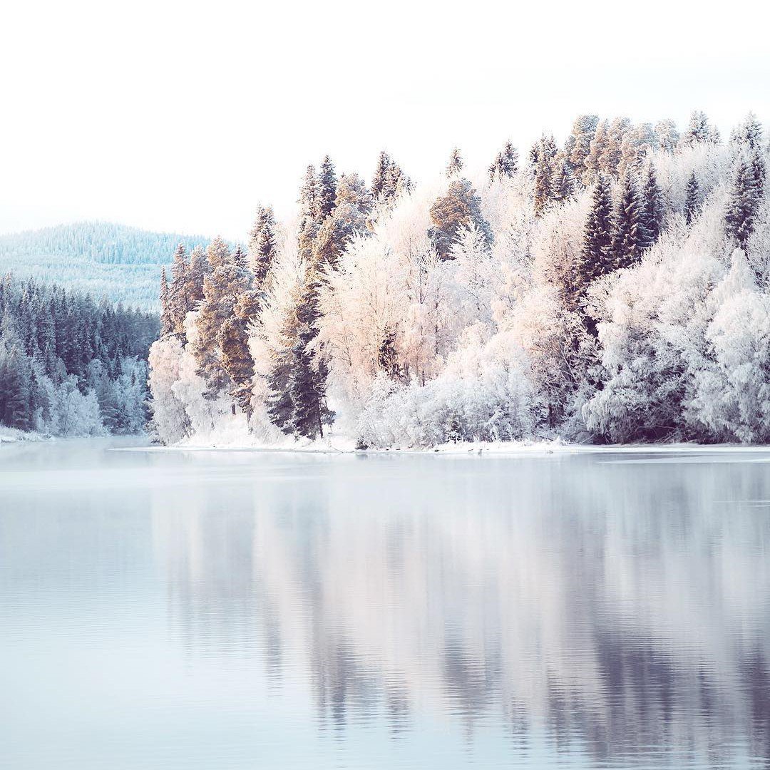 Зимняя природа