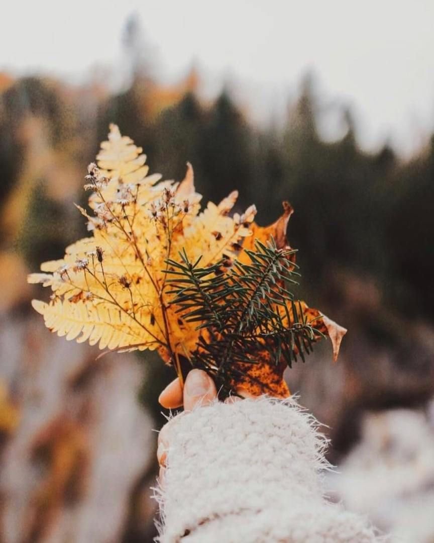 Уютные новогодние композиции