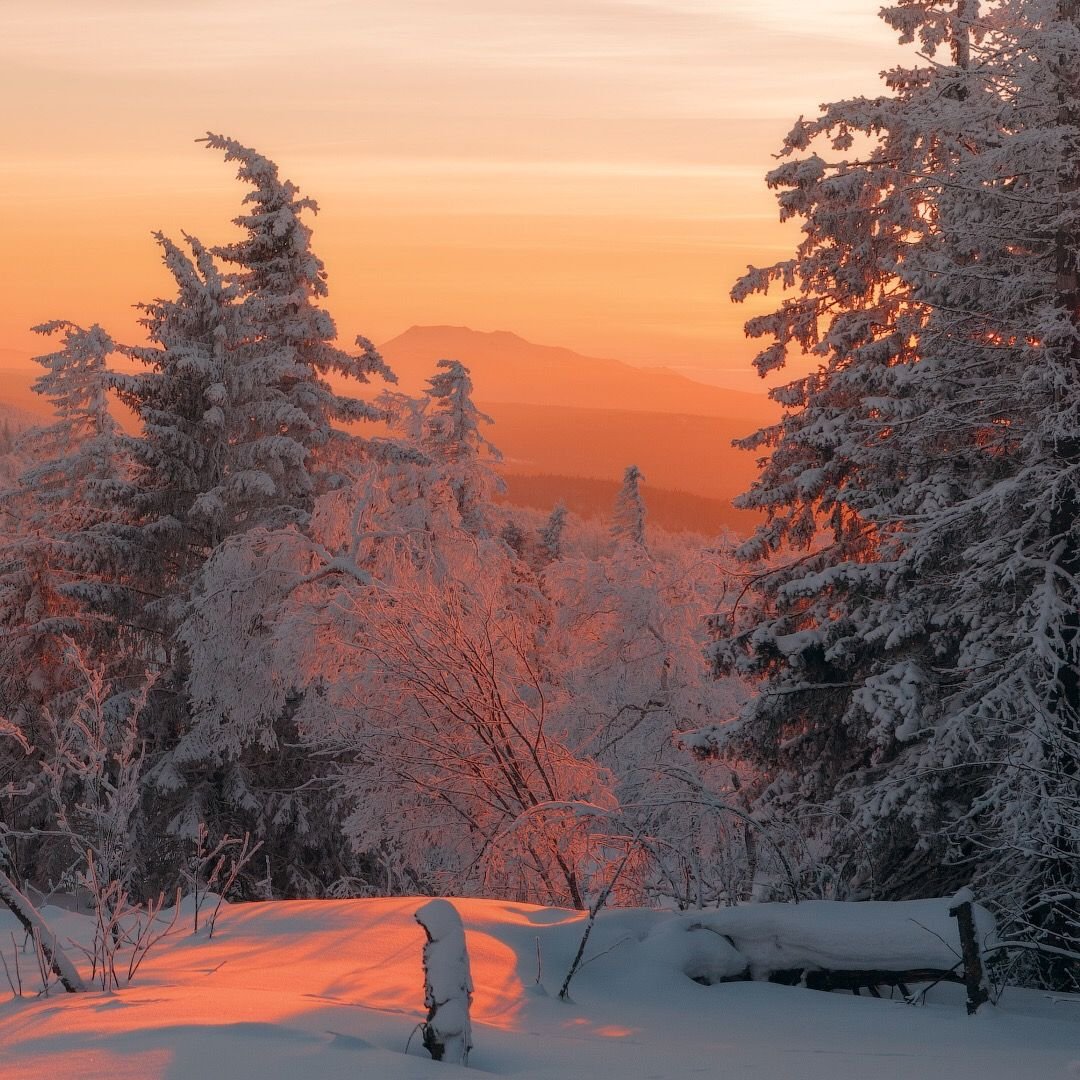 Эстетичные картинки зимы