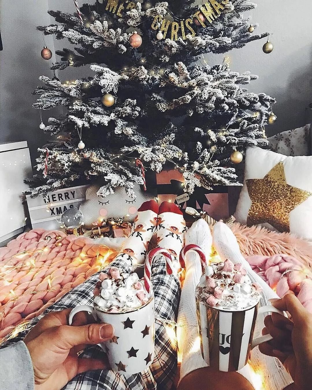 Еловые ветки в снегу