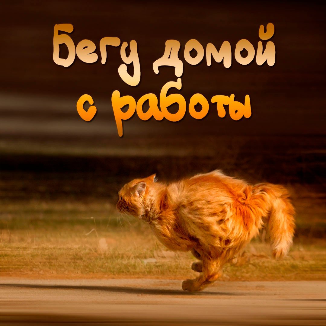 С окончанием рабочего дня