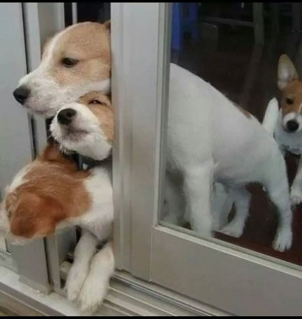 Нет сил картинки