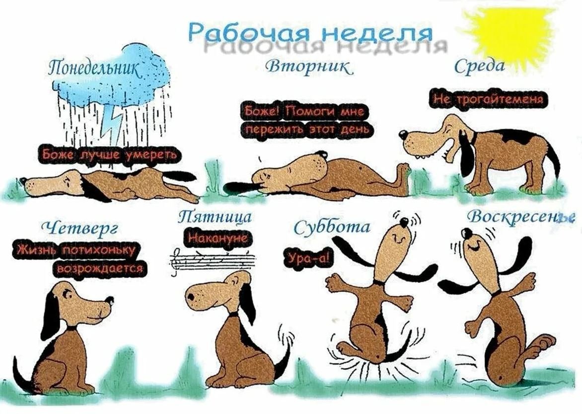 Смешные картинки с надписями