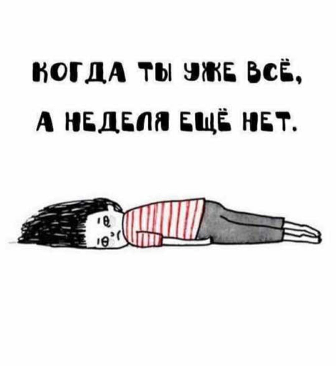 Уставший котик