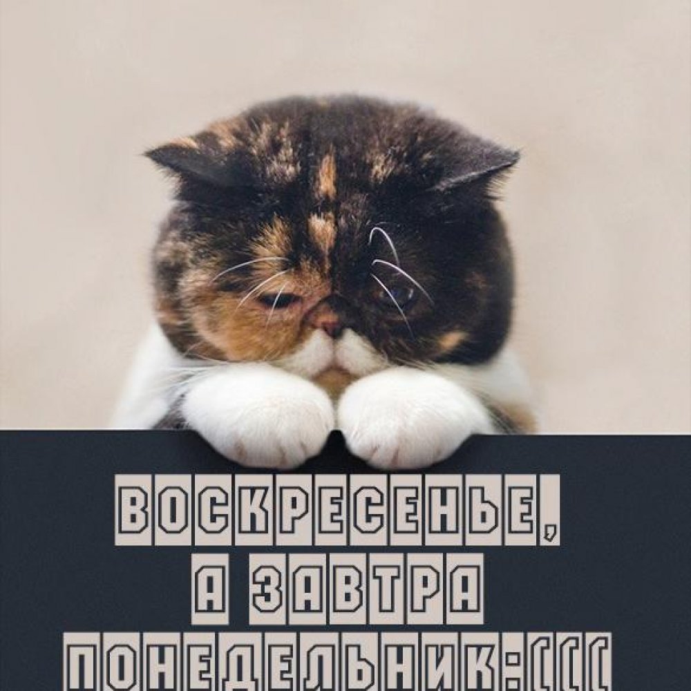 С работы домой