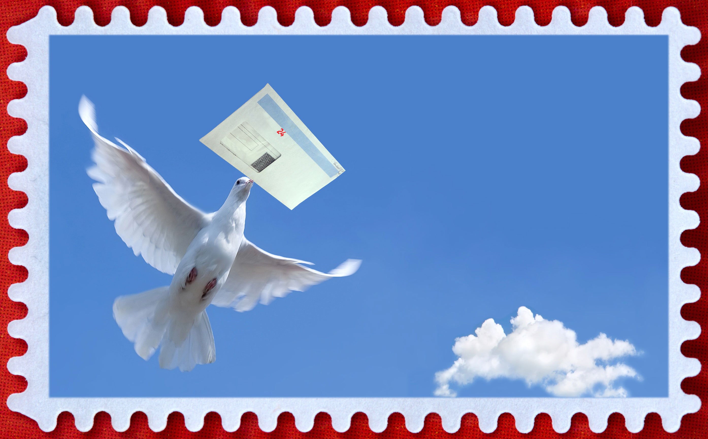 Песня белыми голубями летите письма домой. Почтовый голубь. Голубь с письмом. Голубь почта. Почтовый голубь в полете.