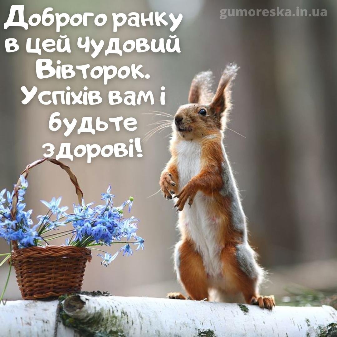 Природа и животные