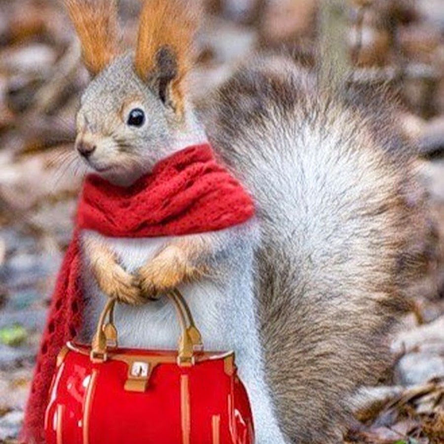 Вадим Трунов белки