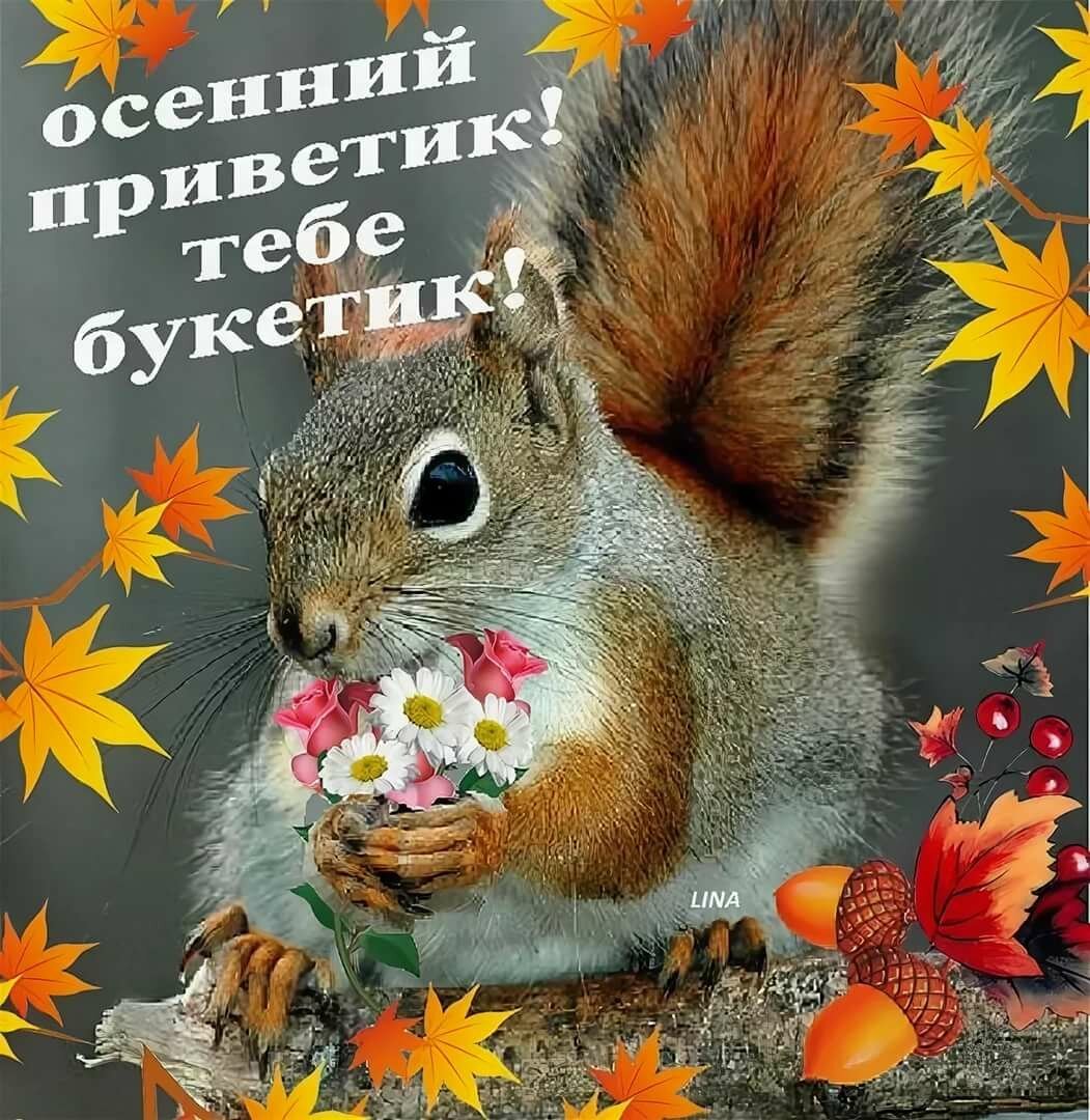 Иллюстратор Евгения Соловьева