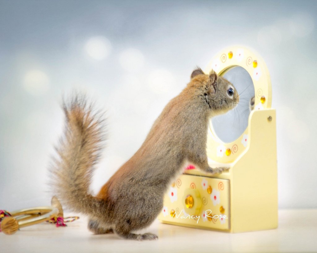 Доброе утро Белочка