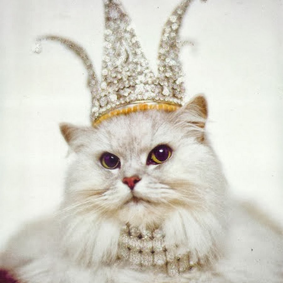 Кошка в короне