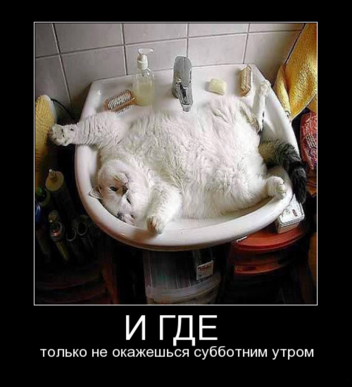 Утро прикол