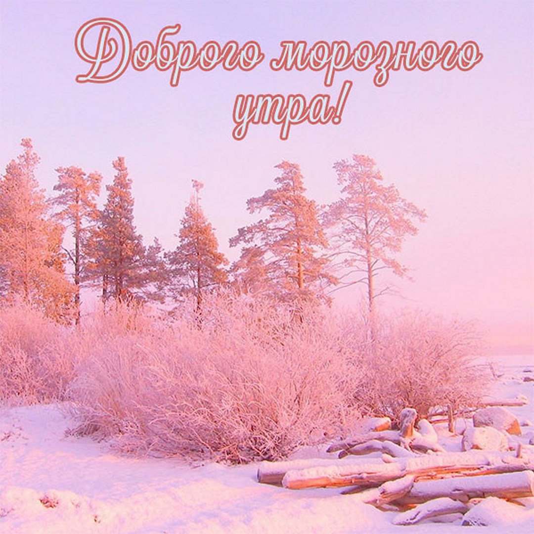 Розовая зима