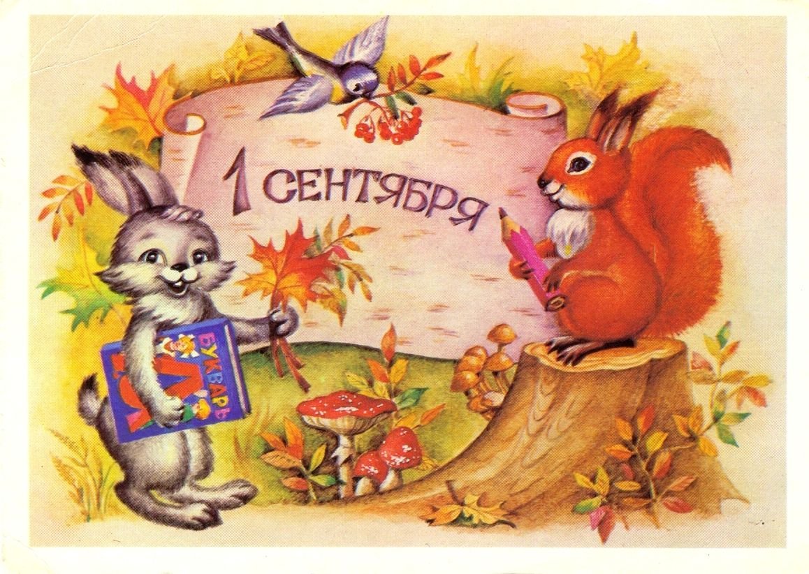 Сказочный лес с совами