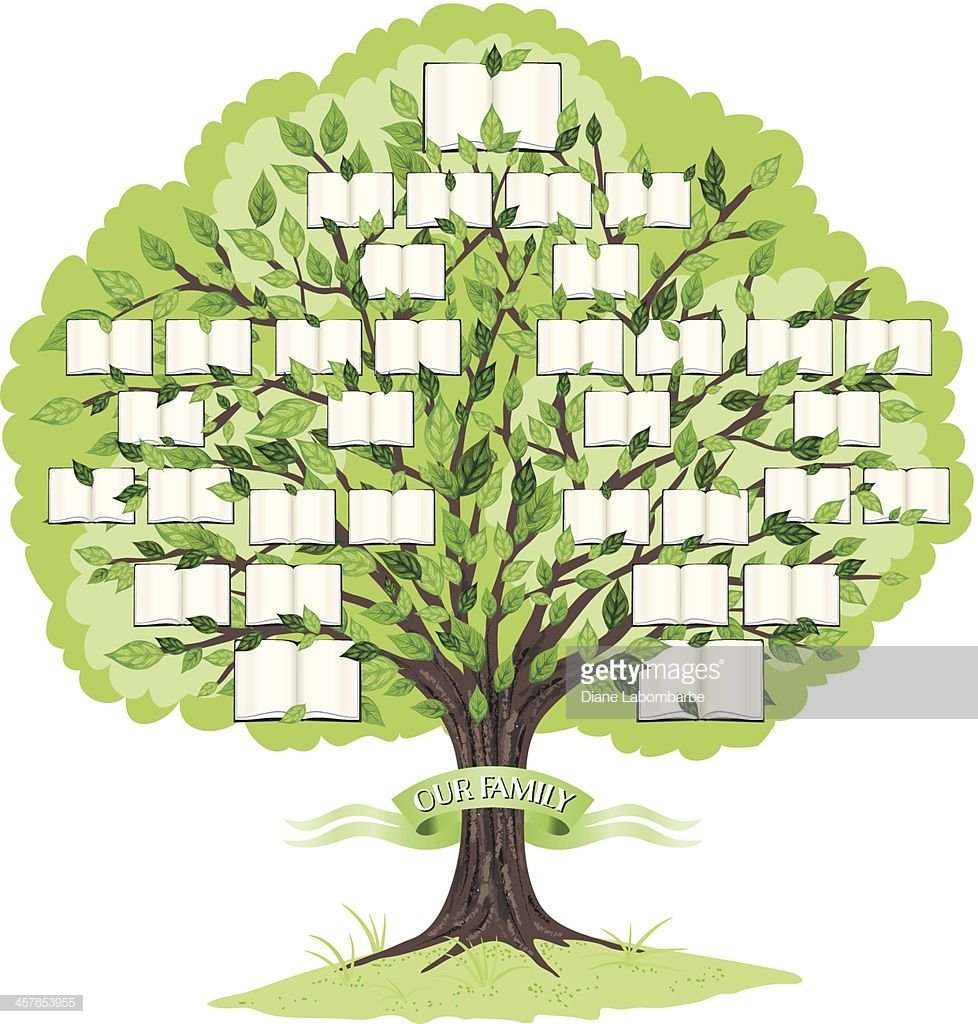 Схема генеалогического древа 7 поколений