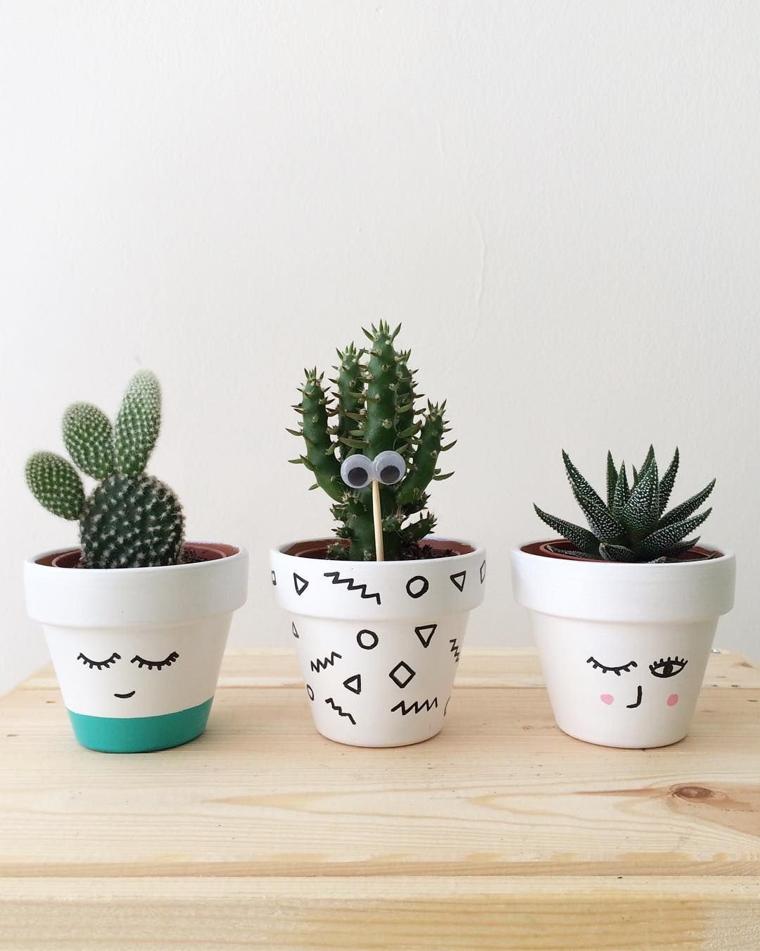 Маленький Кактус