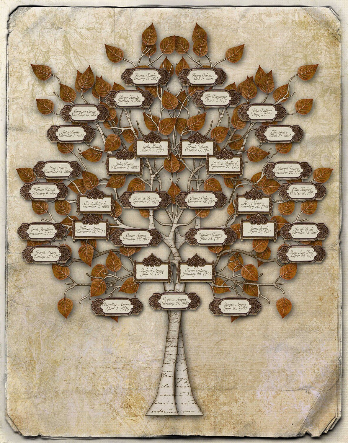 Шежере родословная