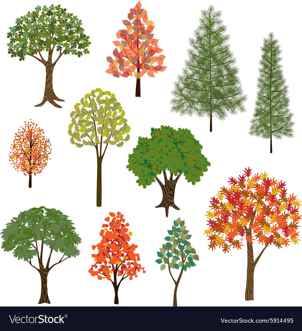 Рисунок дерево 4 класс