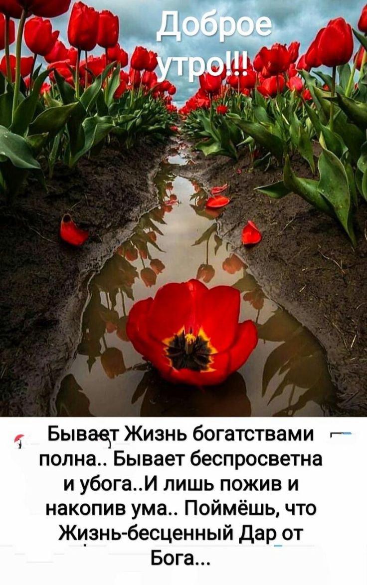 Христианские пожелания с добрым утром