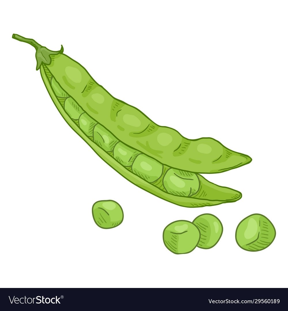 Горошек рисунок для детей