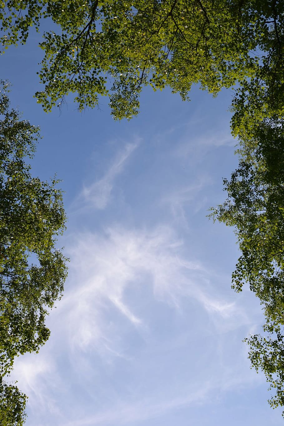 Розово голубой закат