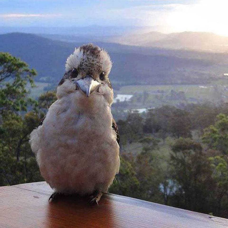 Тайна 3 планеты мультфильм весельчак