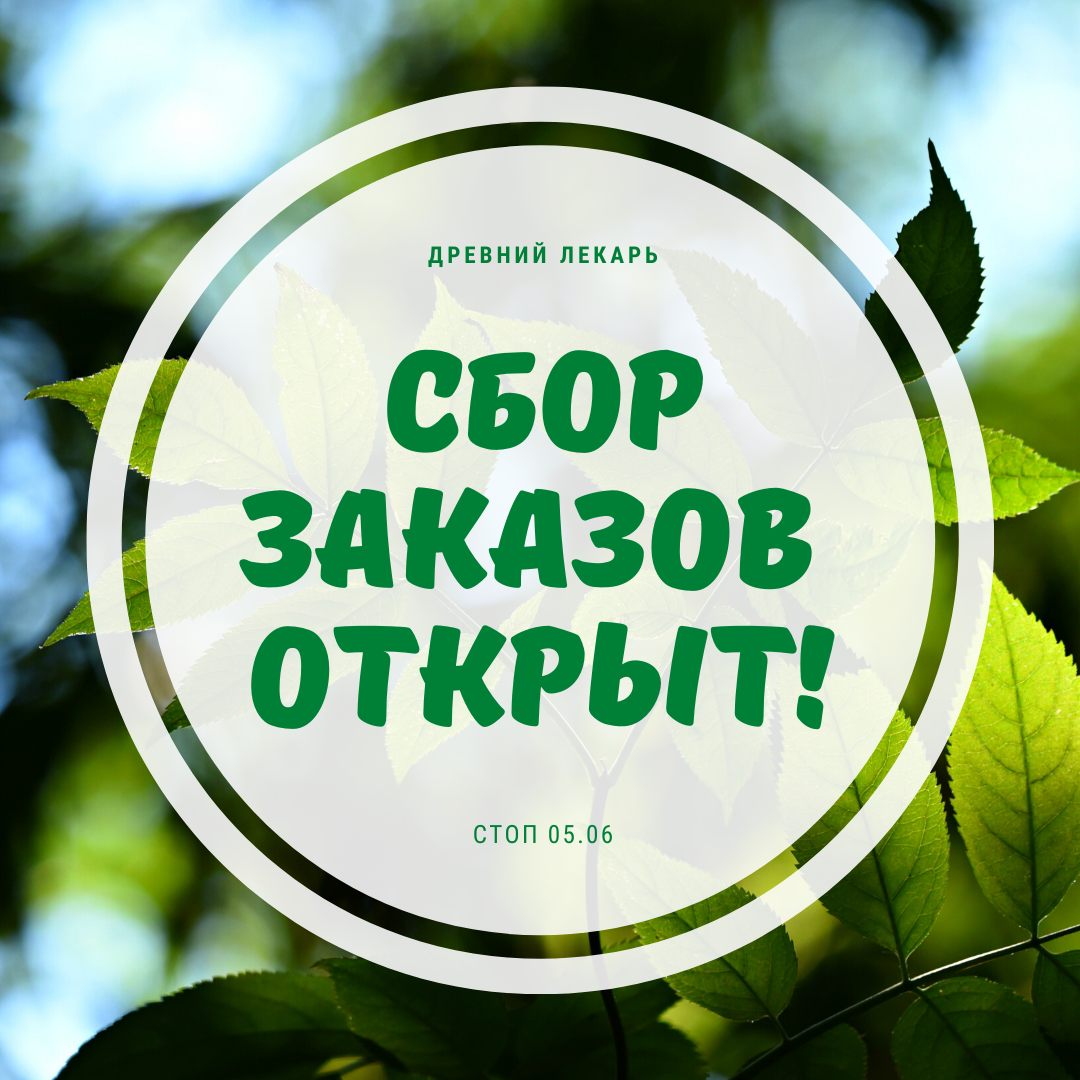 Открыт сбор заказов