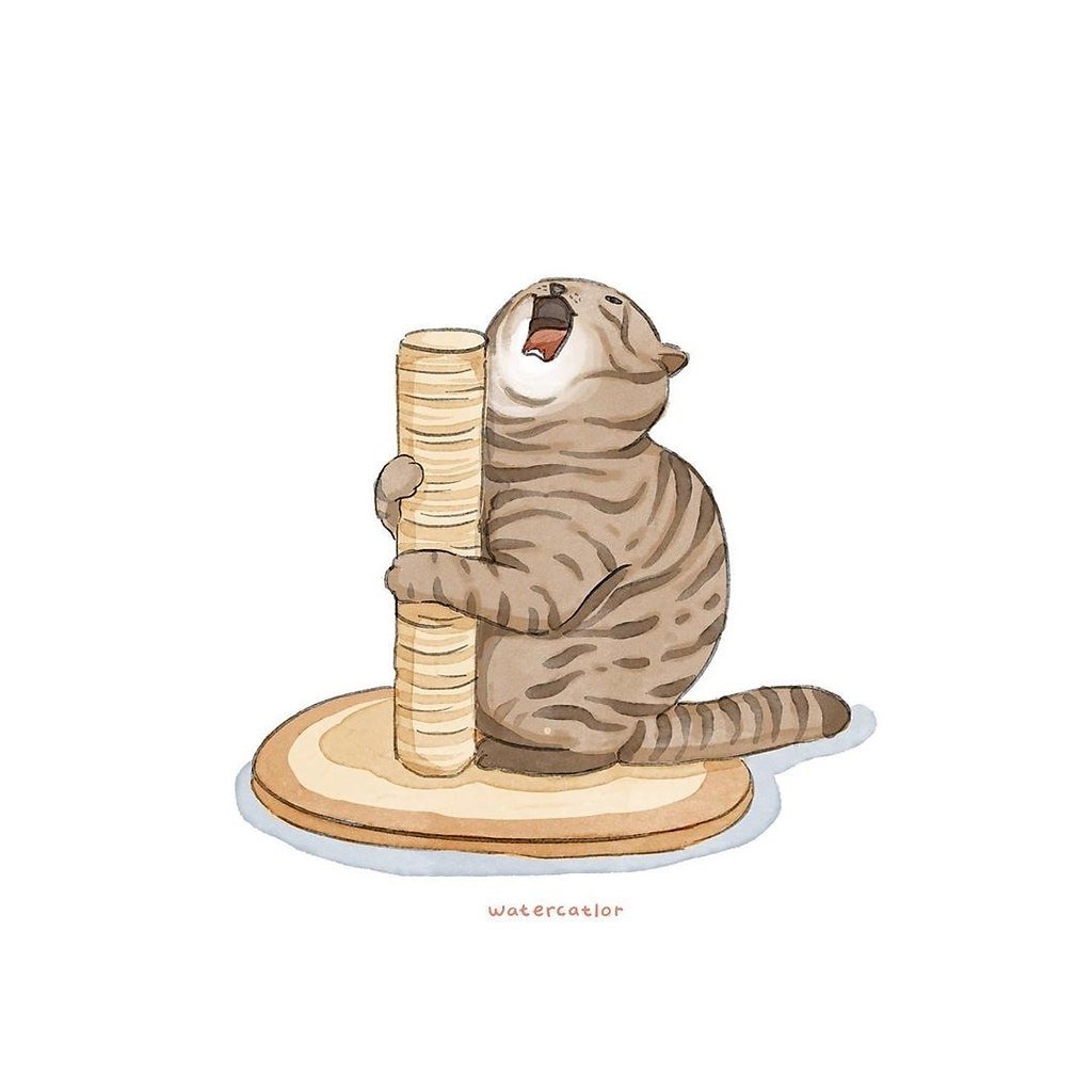 Кричащий кот