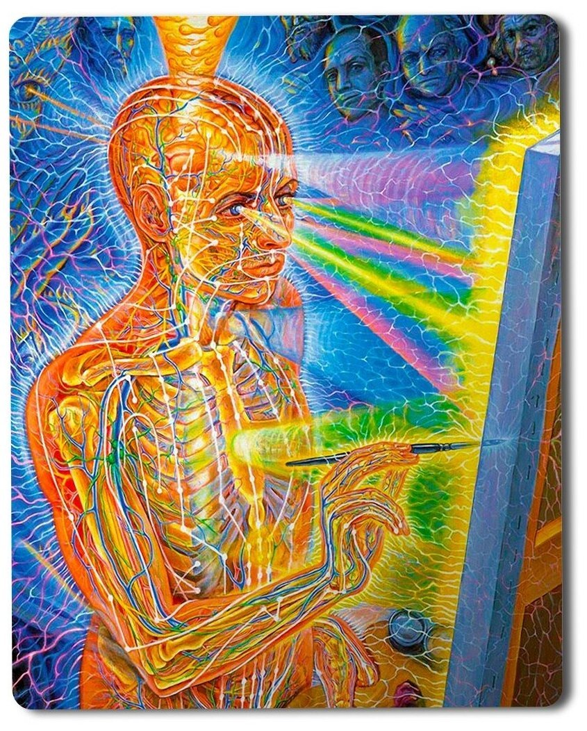 Алекс грей Хоффман