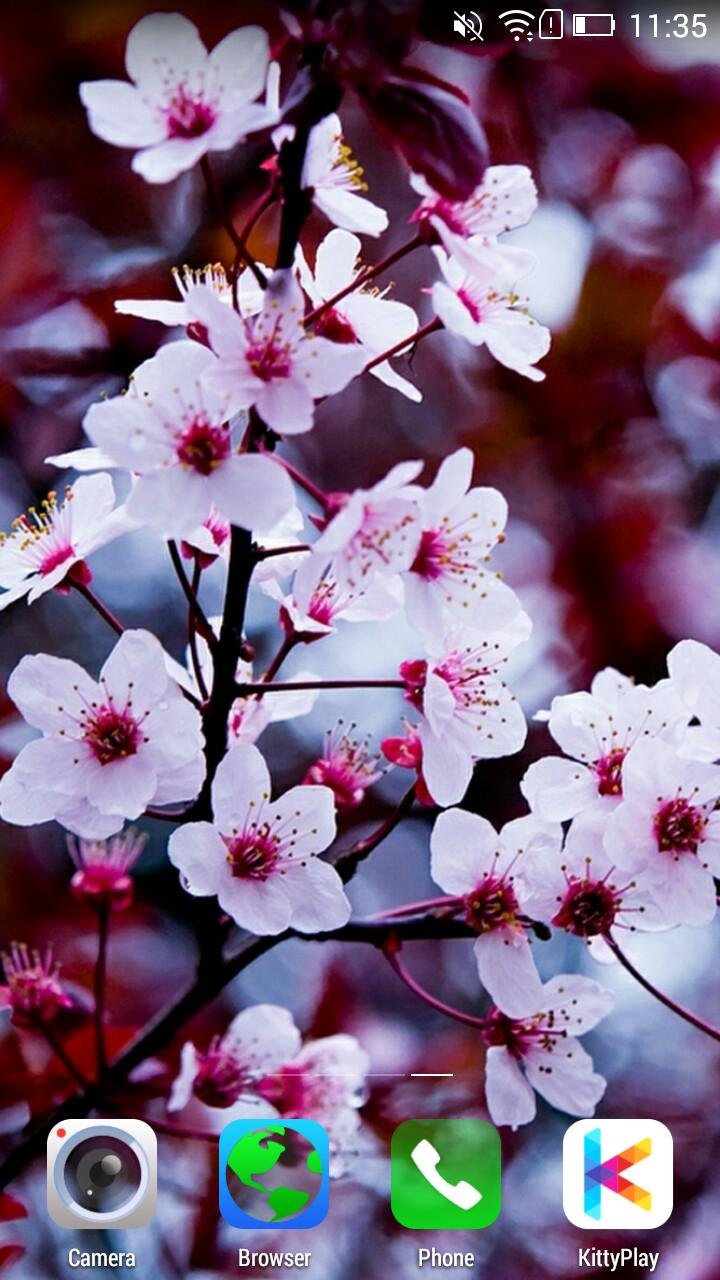 Весенняя Эстетика