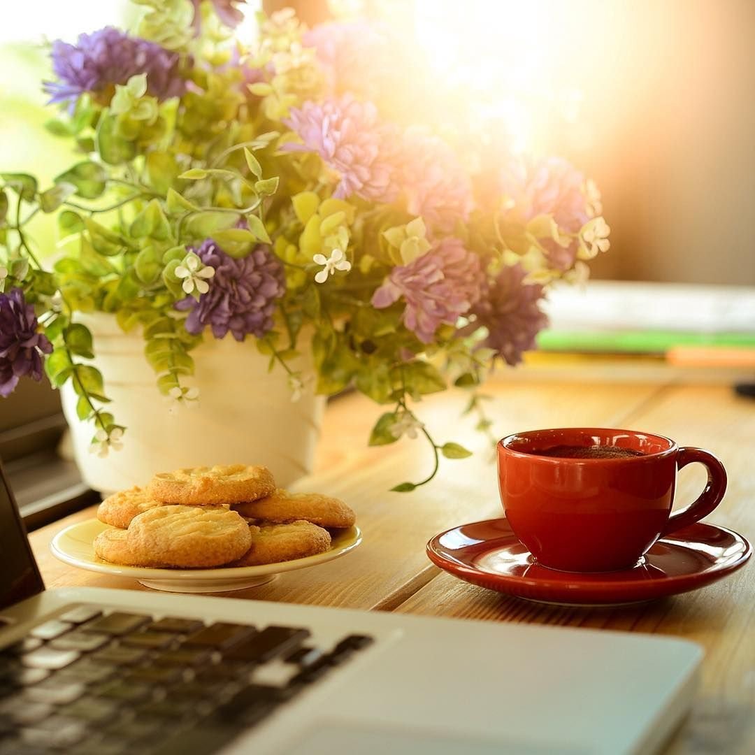 Хорошего дня и отличного нас