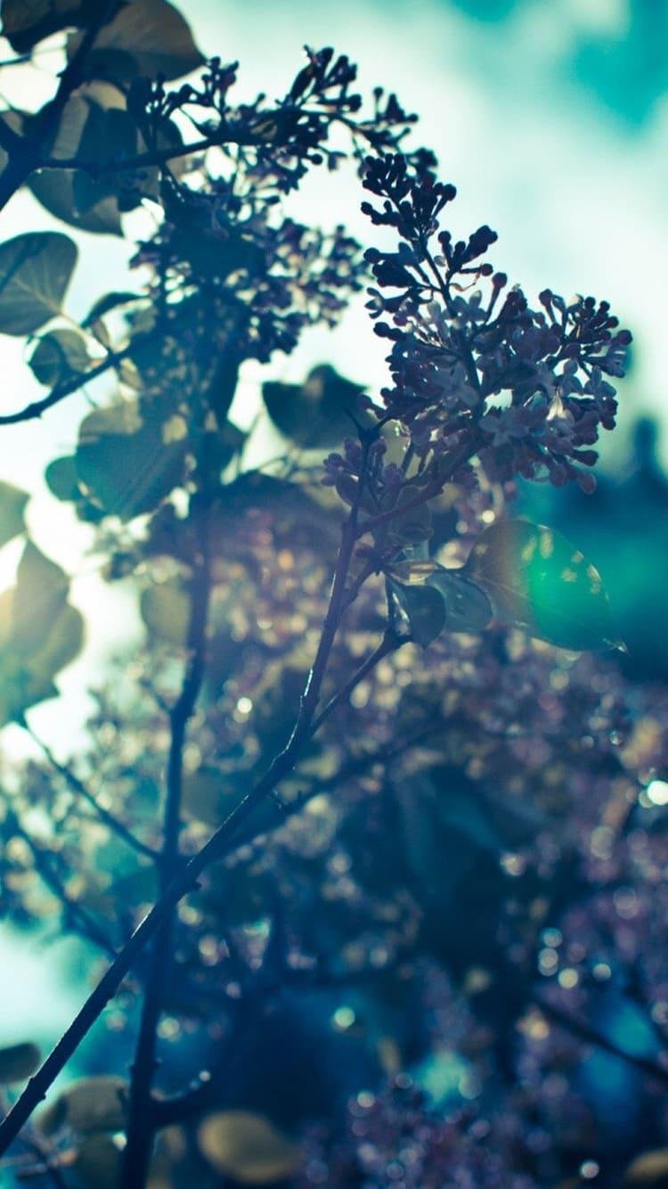 Картинки на рабочий стол в стиле тумблер