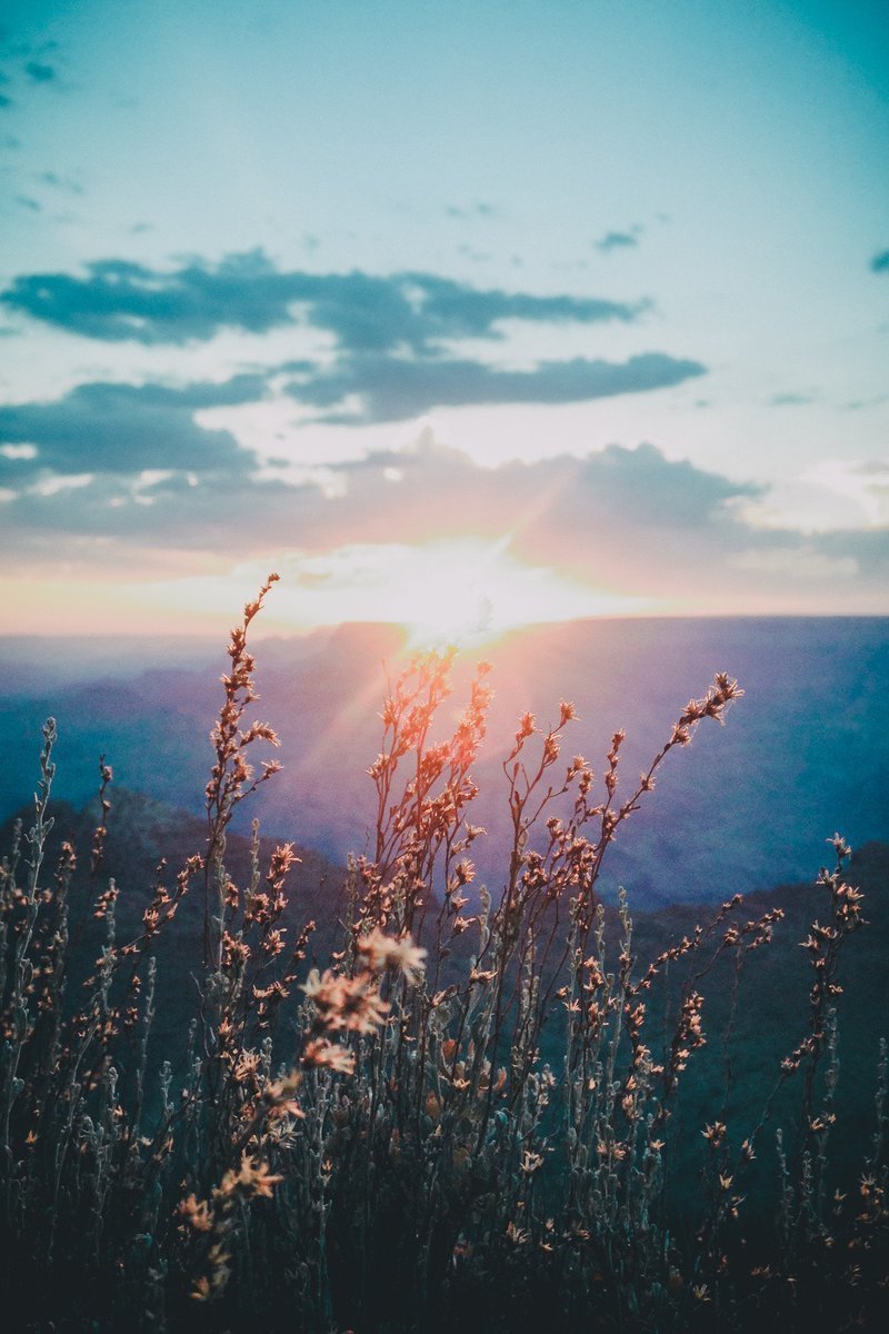 Заставки на экран пастельные
