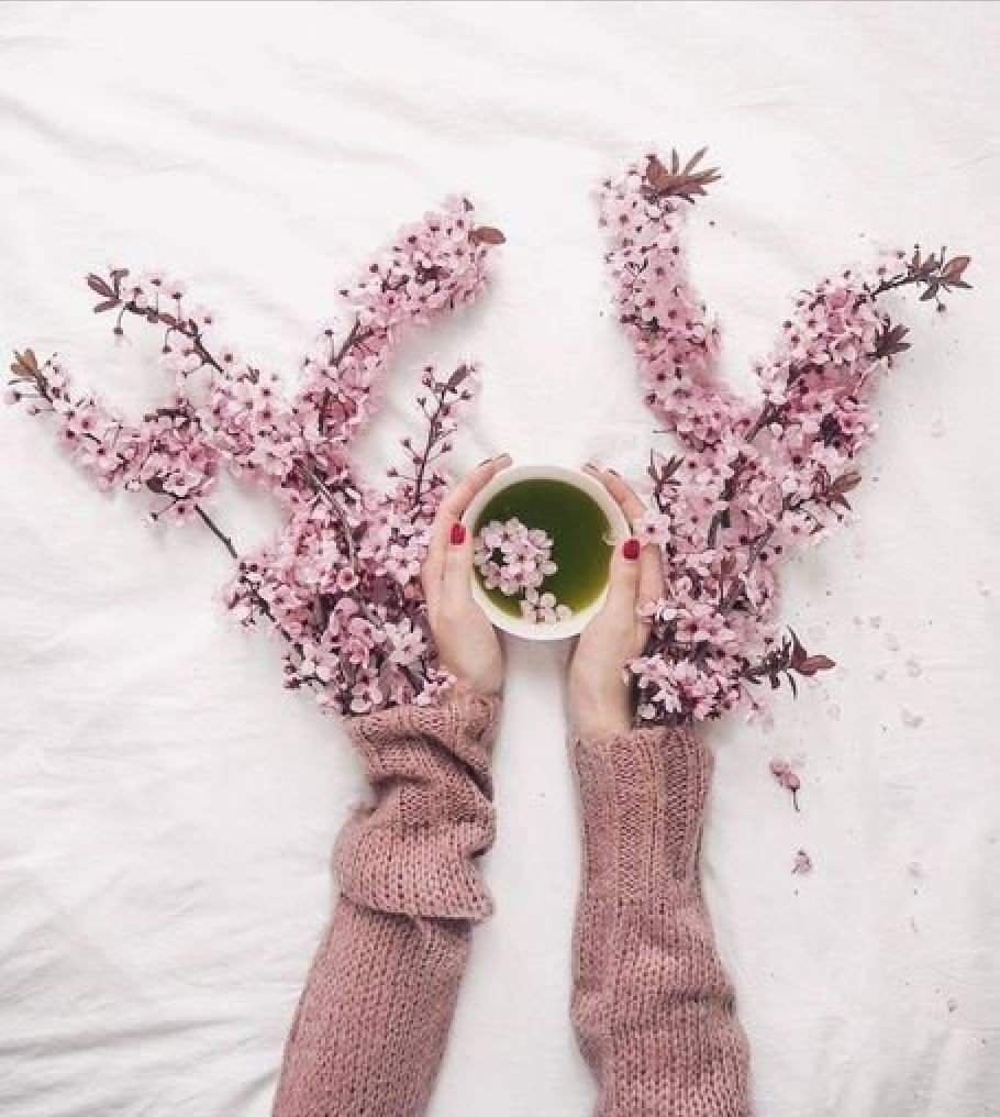 Модные обои с надписями