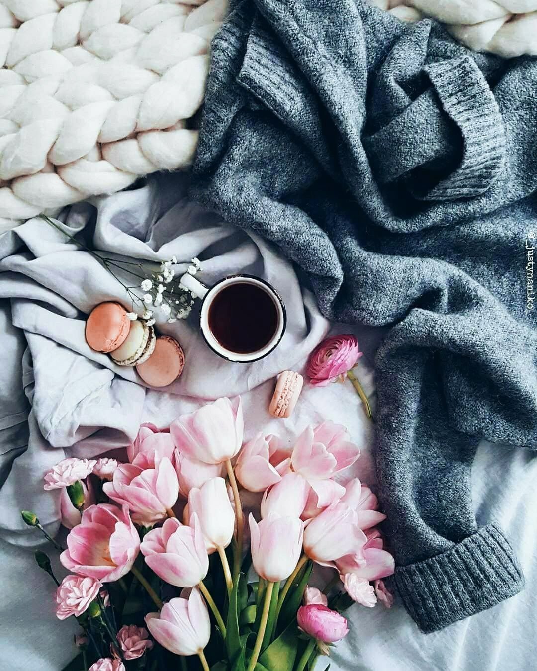 Цветы в снегу