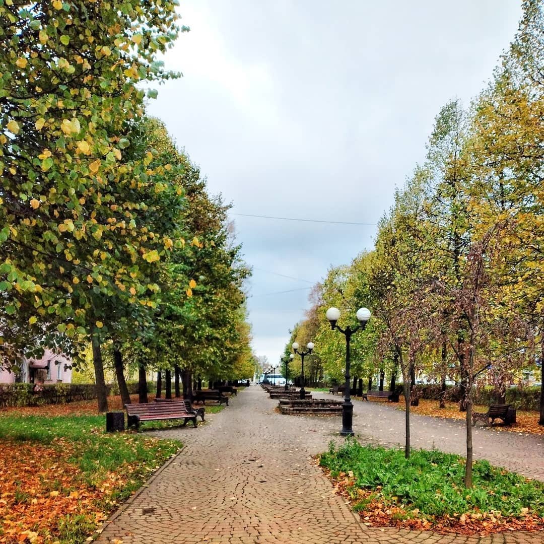 Череповец центр города