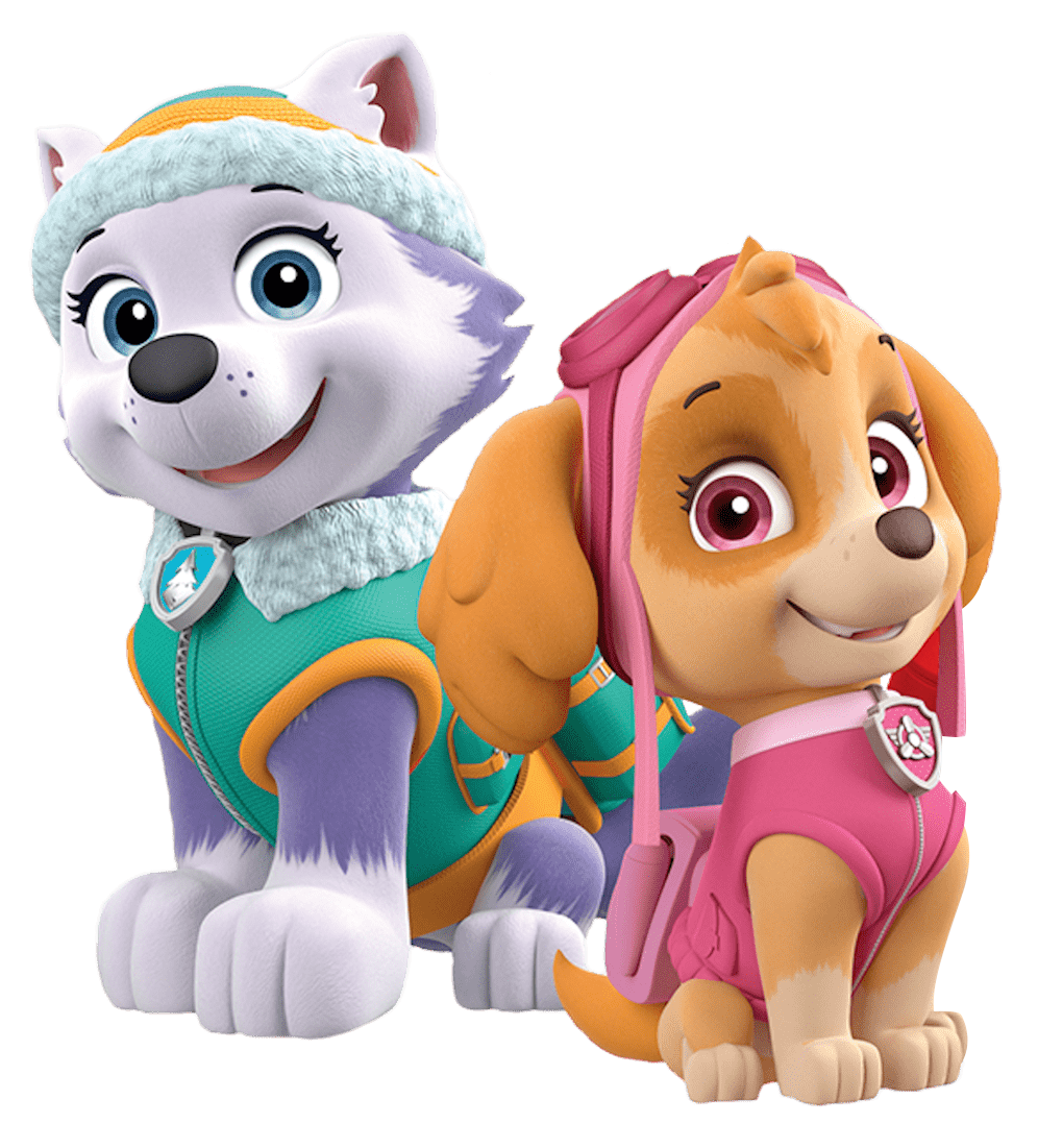 Щенячий патруль. Скай