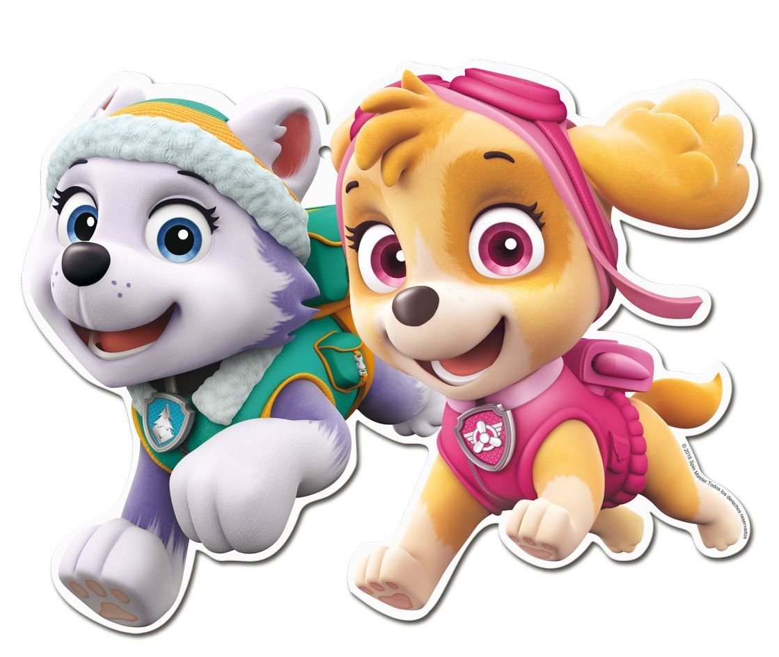 Paw Patrol Скай и Эверест