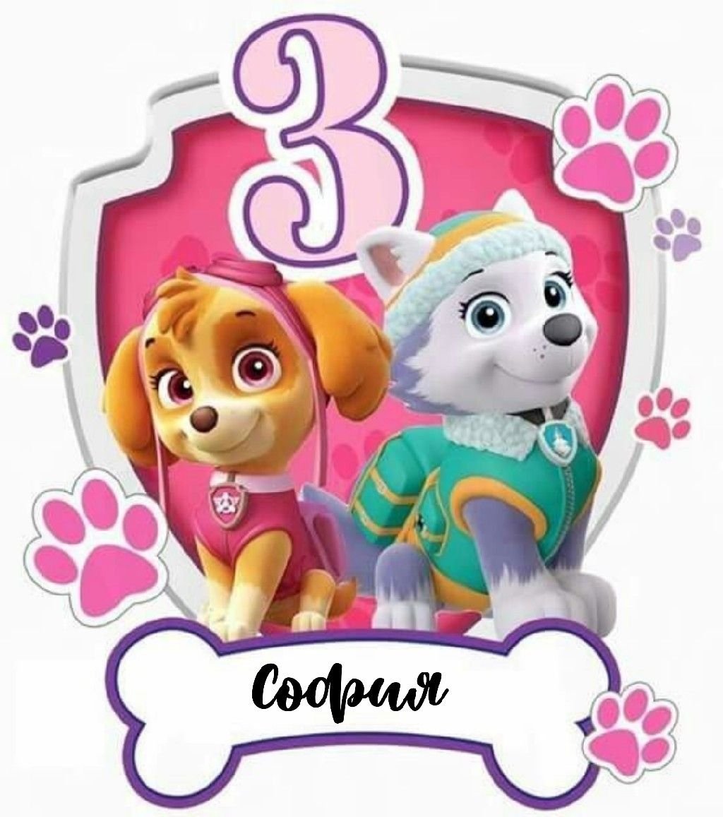 Скай Щенячий патруль 4 года