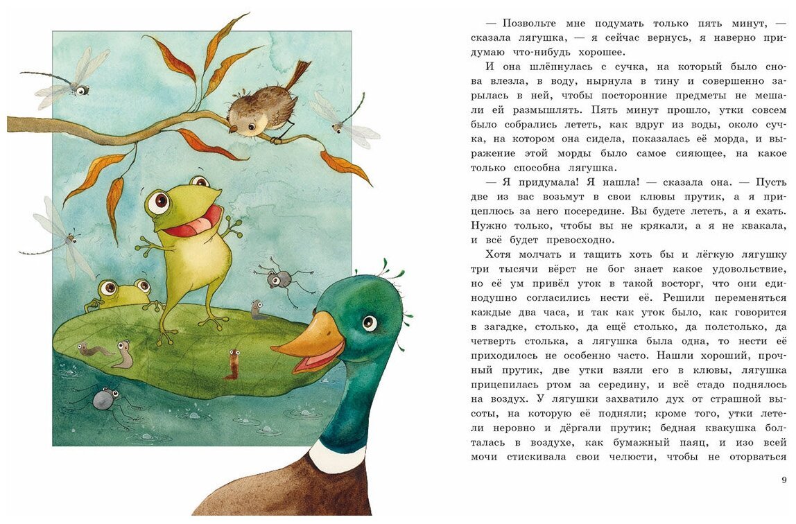 Лягушка путешественница иллюстрации