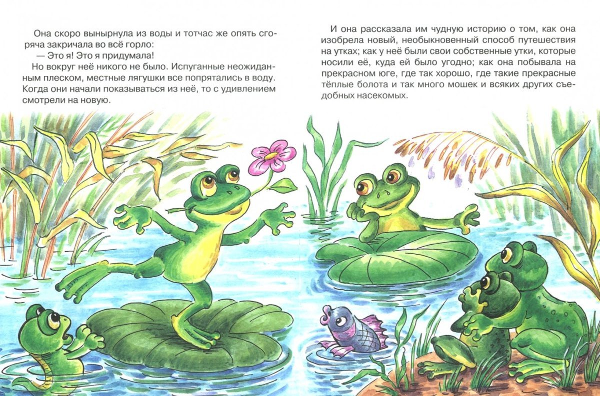 Лягушка путешественница 1995