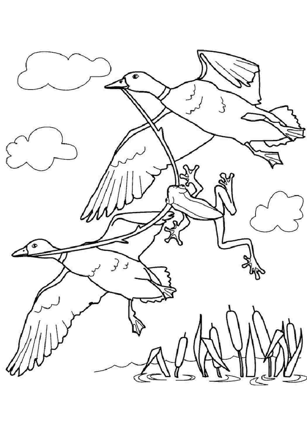 Лягушка-путешественница мультфильм 1965