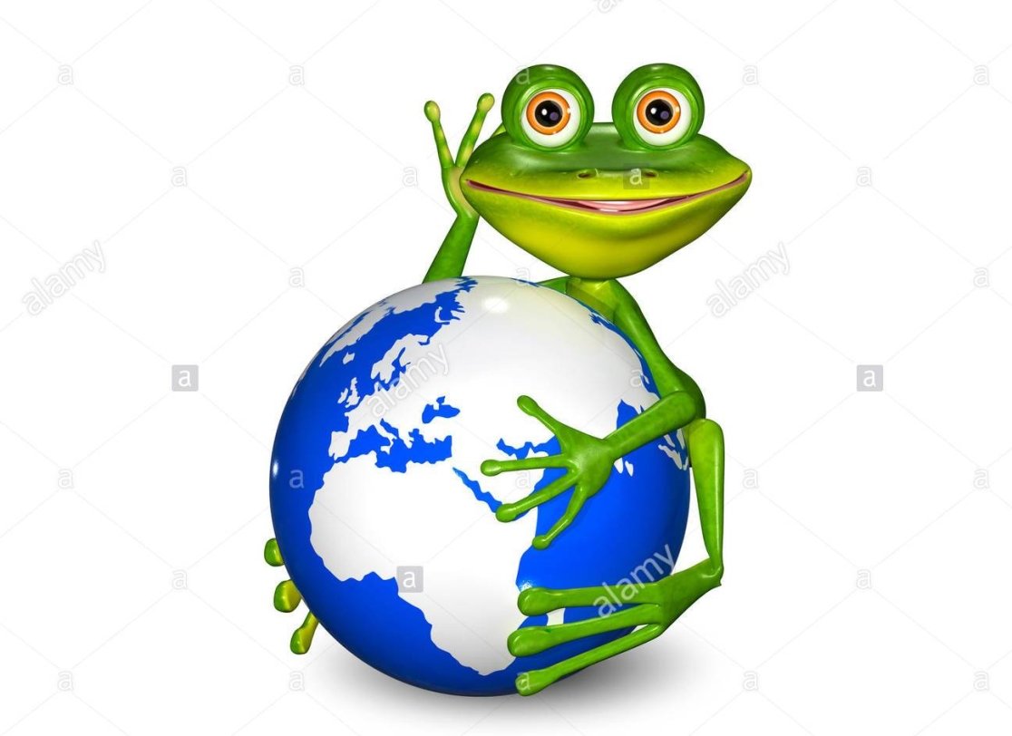 Лягушка путешественница Автор сказки