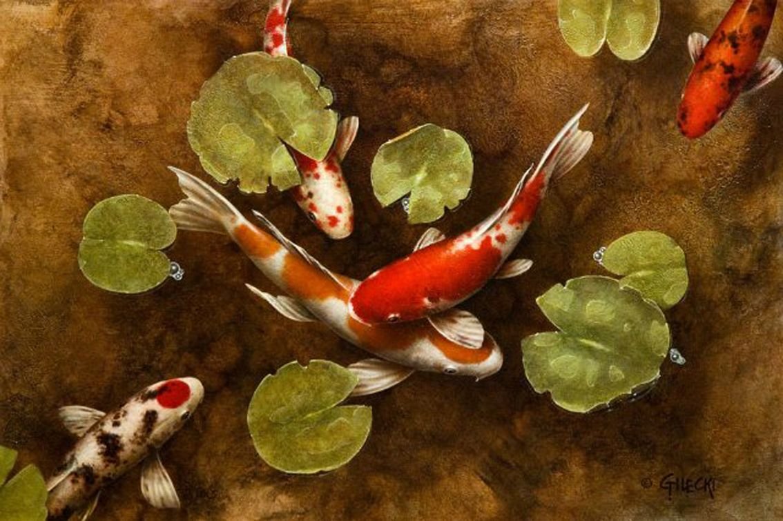 Рыбки карпы кои